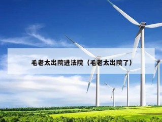 毛老太出院进法院（毛老太出院了）