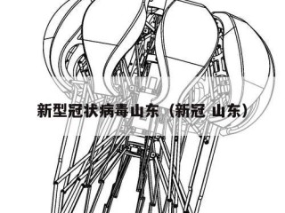 新型冠状病毒山东（新冠 山东）