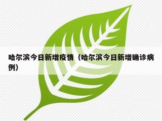 哈尔滨今日新增疫情（哈尔滨今日新增确诊病例）