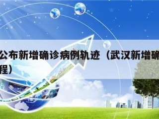 武汉公布新增确诊病例轨迹（武汉新增确诊病例行程）