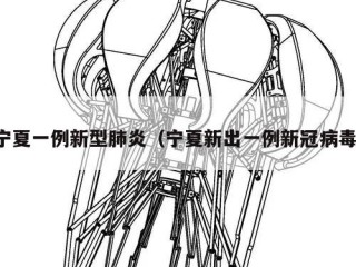 宁夏一例新型肺炎（宁夏新出一例新冠病毒）